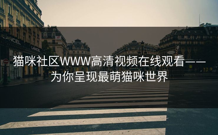 猫咪社区WWW高清视频在线观看——为你呈现最萌猫咪世界