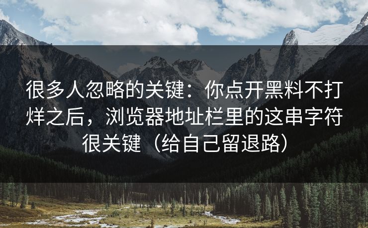 很多人忽略的关键：你点开黑料不打烊之后，浏览器地址栏里的这串字符很关键（给自己留退路）